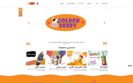 طراحی وب سایت توت طلایی